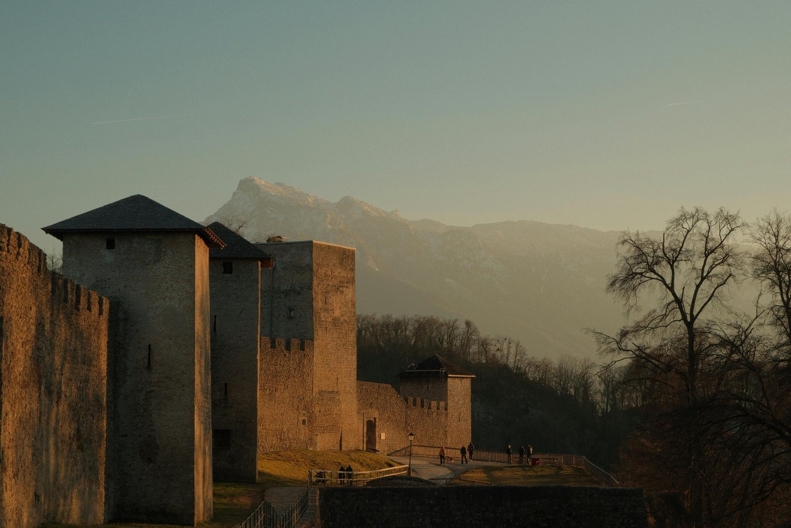 Portfolio Photos - Oct 15, 2025